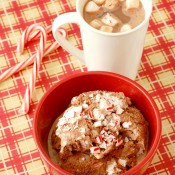 {A Kitchen Addiction} Peppermint Hot Chocolate Ice Cream