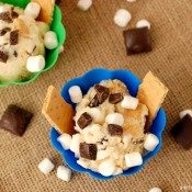 S'mores Ice Cream Recipe