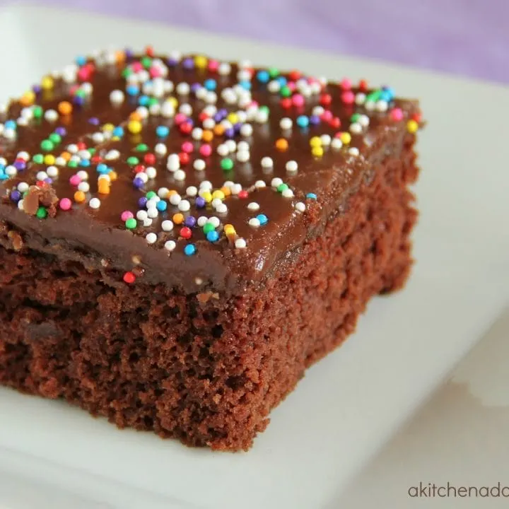 piece of chocolate wacky cake on a white plate