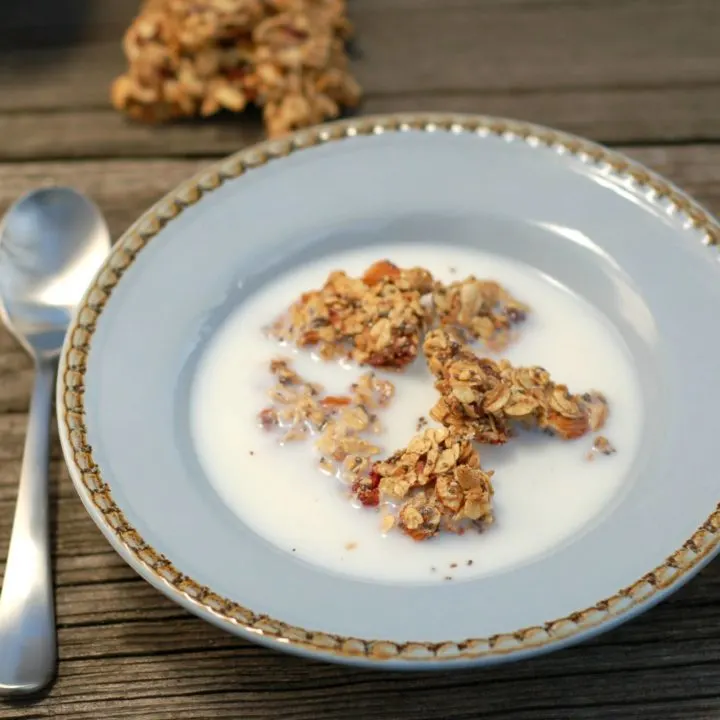 Strawberry Chia Granola Clusters Recipe l www.a-kitchen-addiction.com