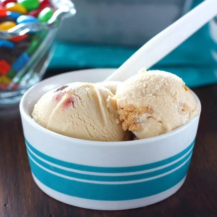 Peanut Butter Monster Cookie Dough Ice Cream Recipe l www.a-kitchen-addiction.com