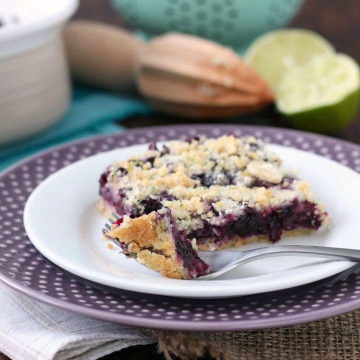 Easy Blueberry Lime Crumb Bars Recipe l www.a-kitchen-addiction.com