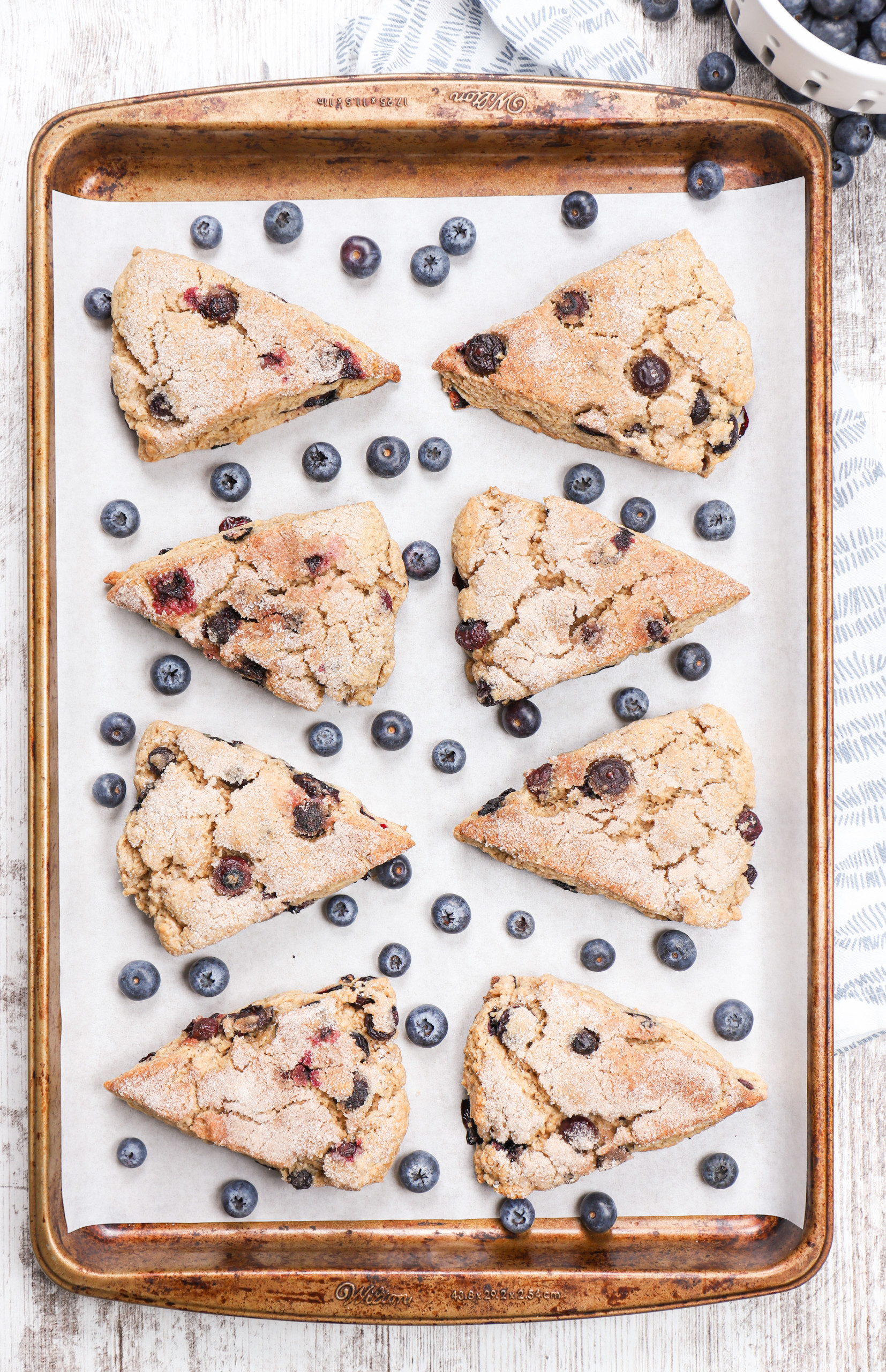 Overhead view of a batch of blueberry snickerdoodle scones on a parchment paper lined baking sheet.