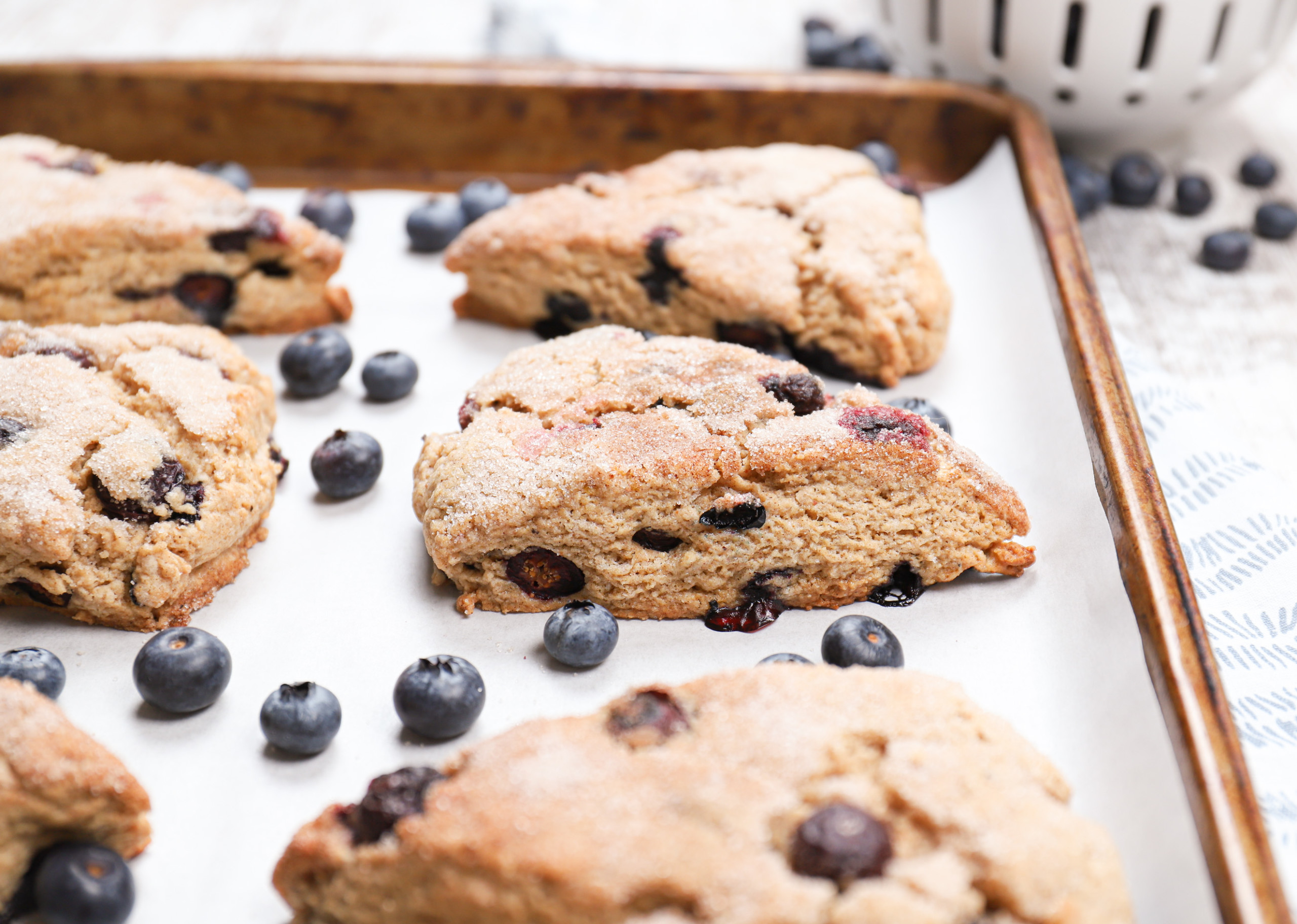 Side view of a blueberry snickerdoodle scone on a parchment paper lined baking sheet.