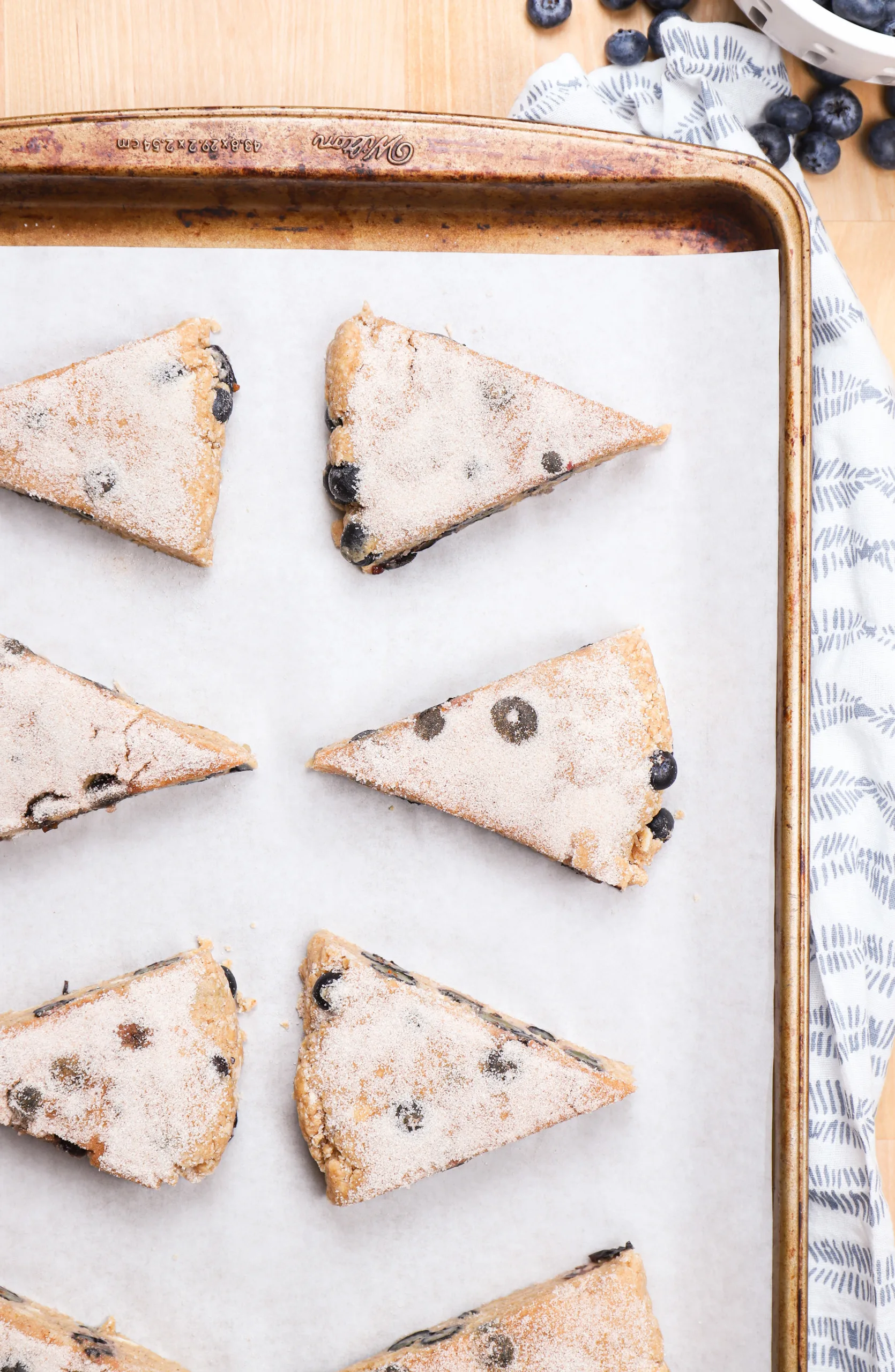 Overhead view of blueberry snickerdoodle scones on a parchment paper covered baking sheet before baking.