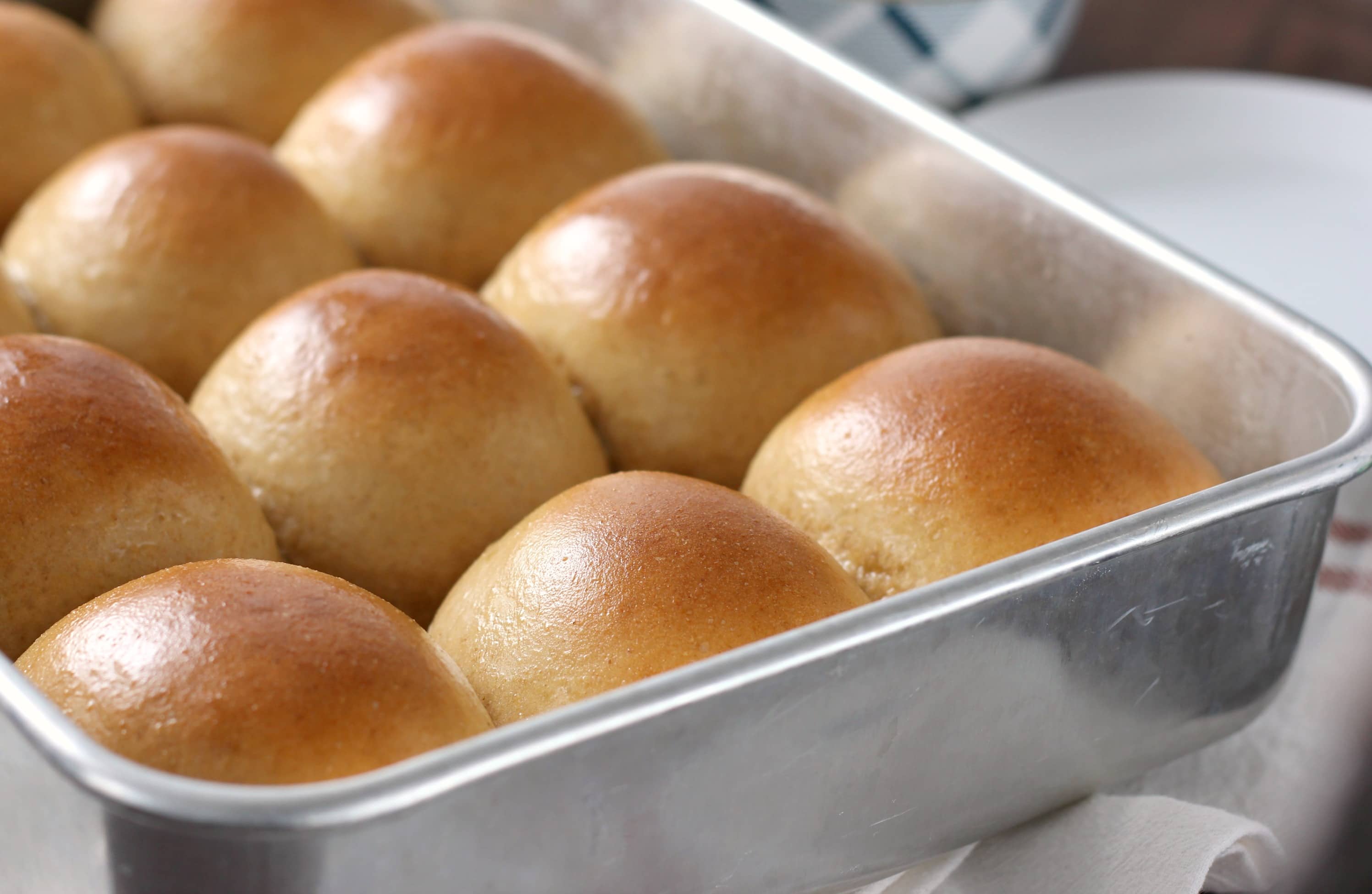 30 Minute Honey Wheat Dinner Rolls Recipe from A Kitchen Addiction