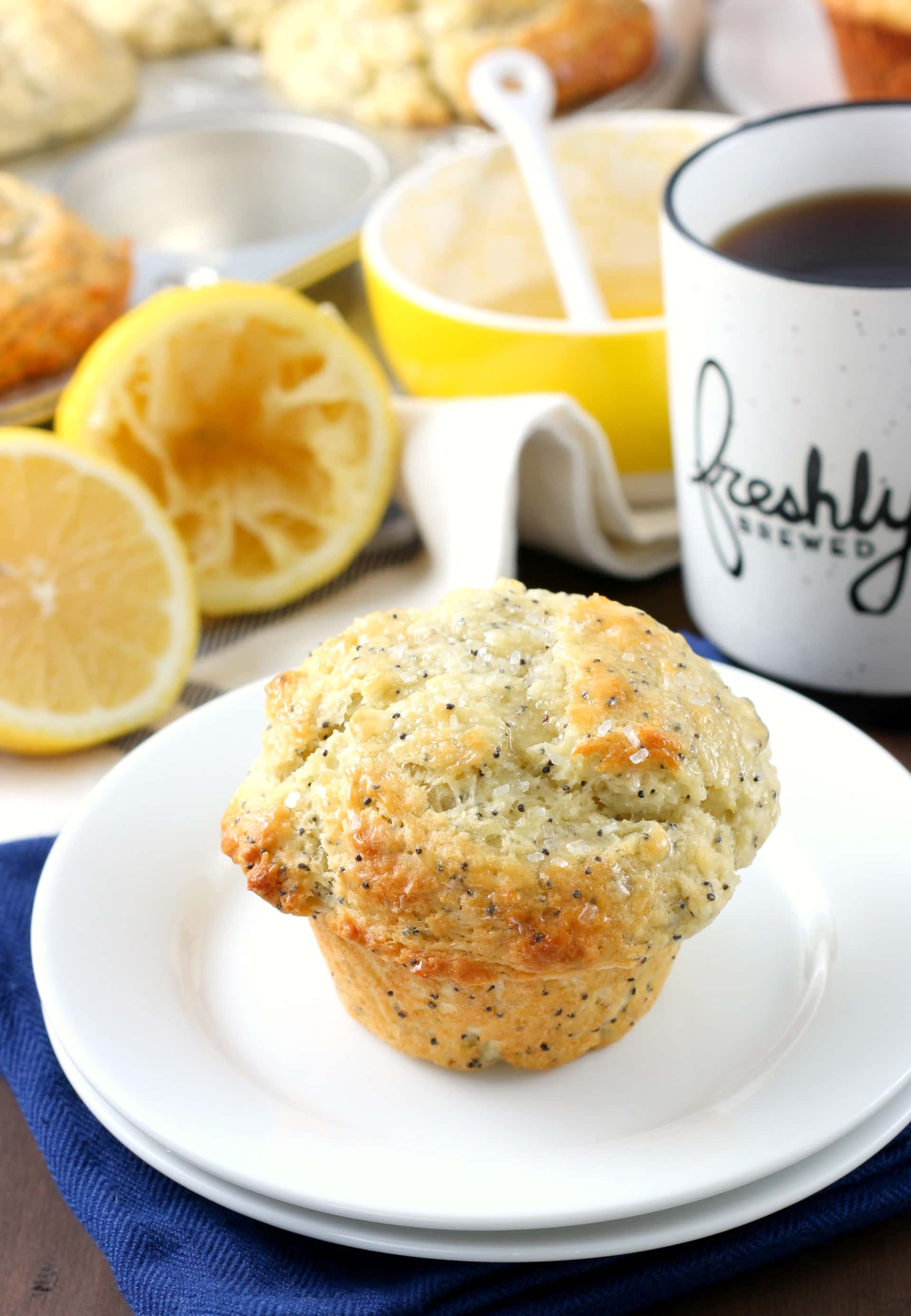 Bakery Style Lemon Poppy Seed Muffins Recipe from A Kitchen Addiction