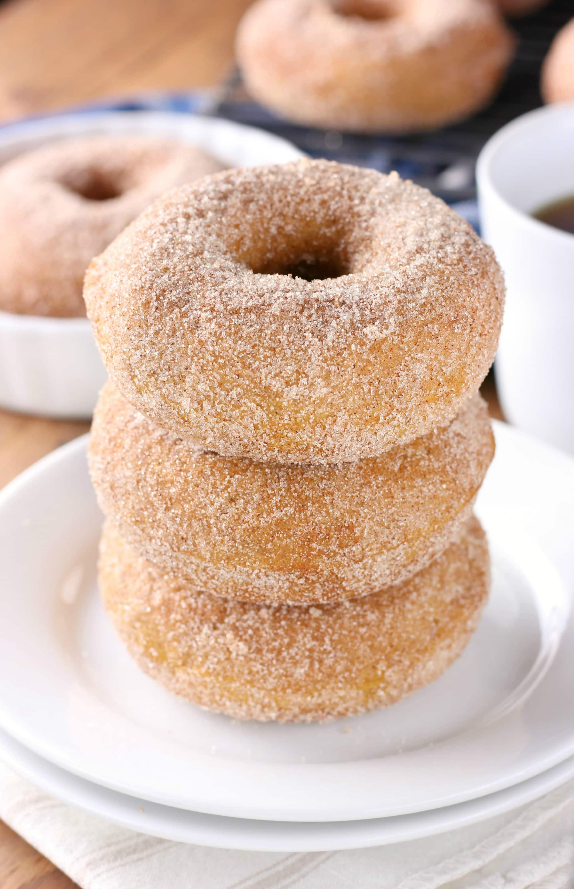 Baked Pumpkin Cardamom Donuts Recipe from A Kitchen Addiction