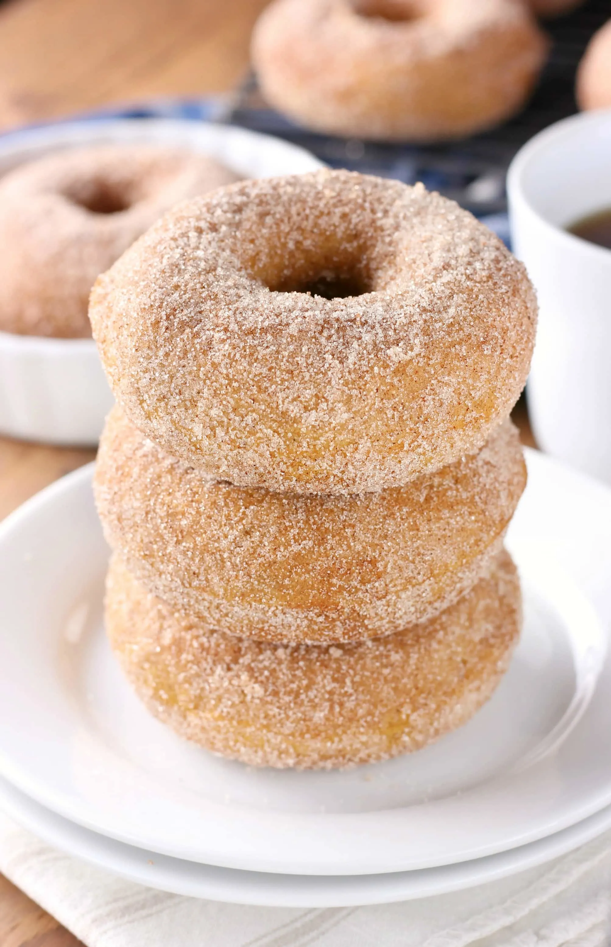 Baked Pumpkin Cardamom Donuts Recipe from A Kitchen Addiction