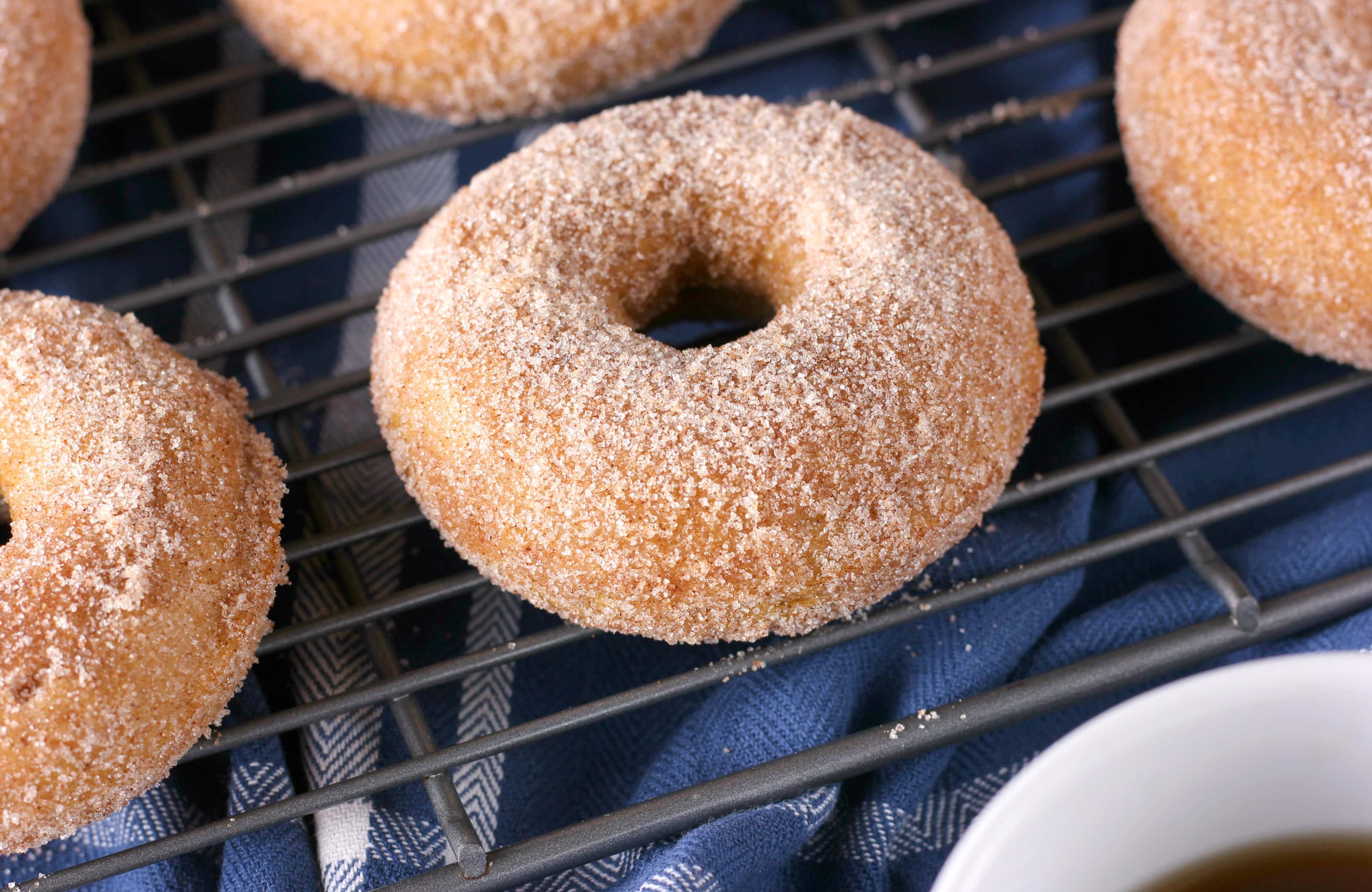 Easy Baked Pumpkin Cardamom Donuts Recipe from A Kitchen Addiction