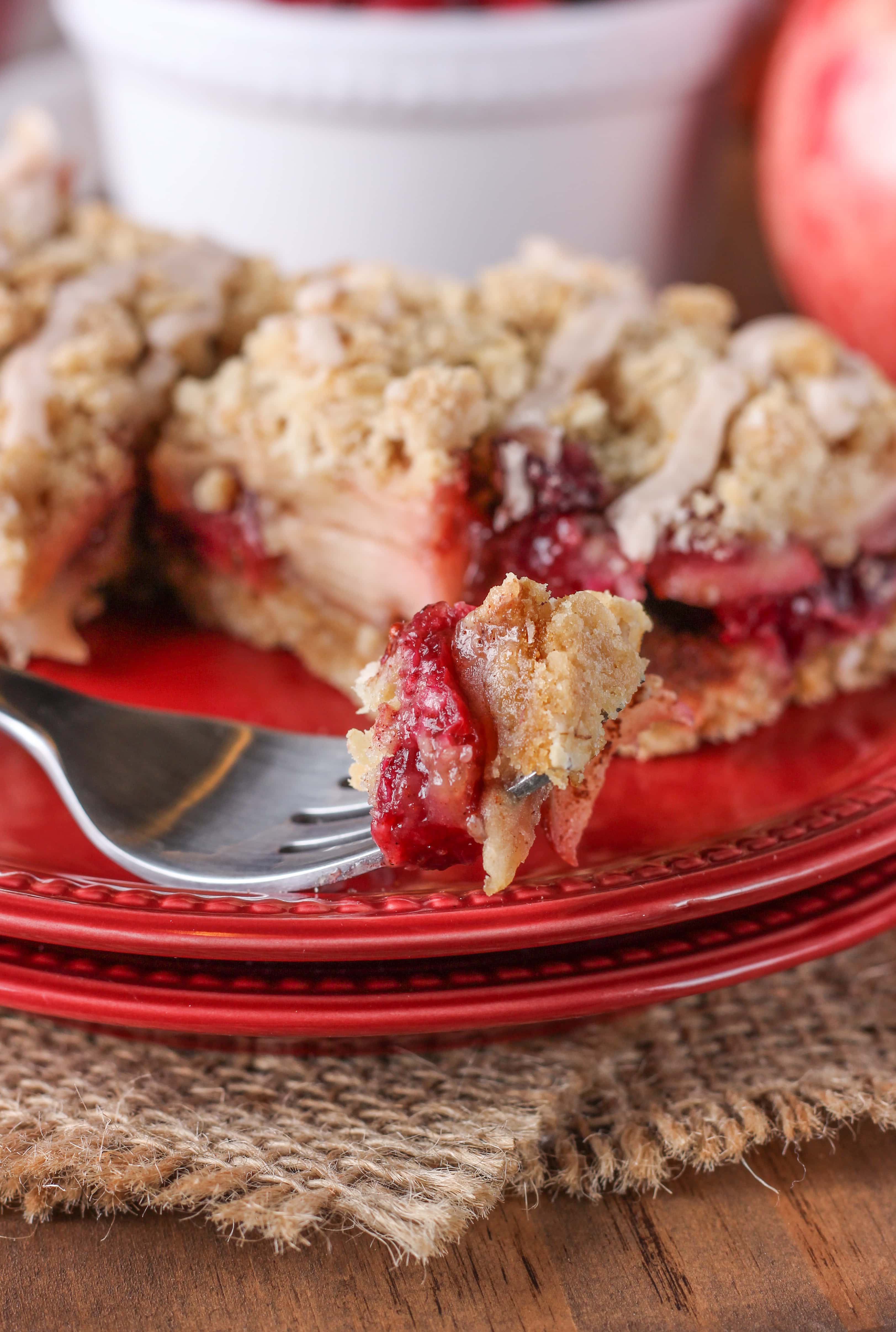 Honey Cranberry Apple Crumb Bars Recipe from A Kitchen Addiction