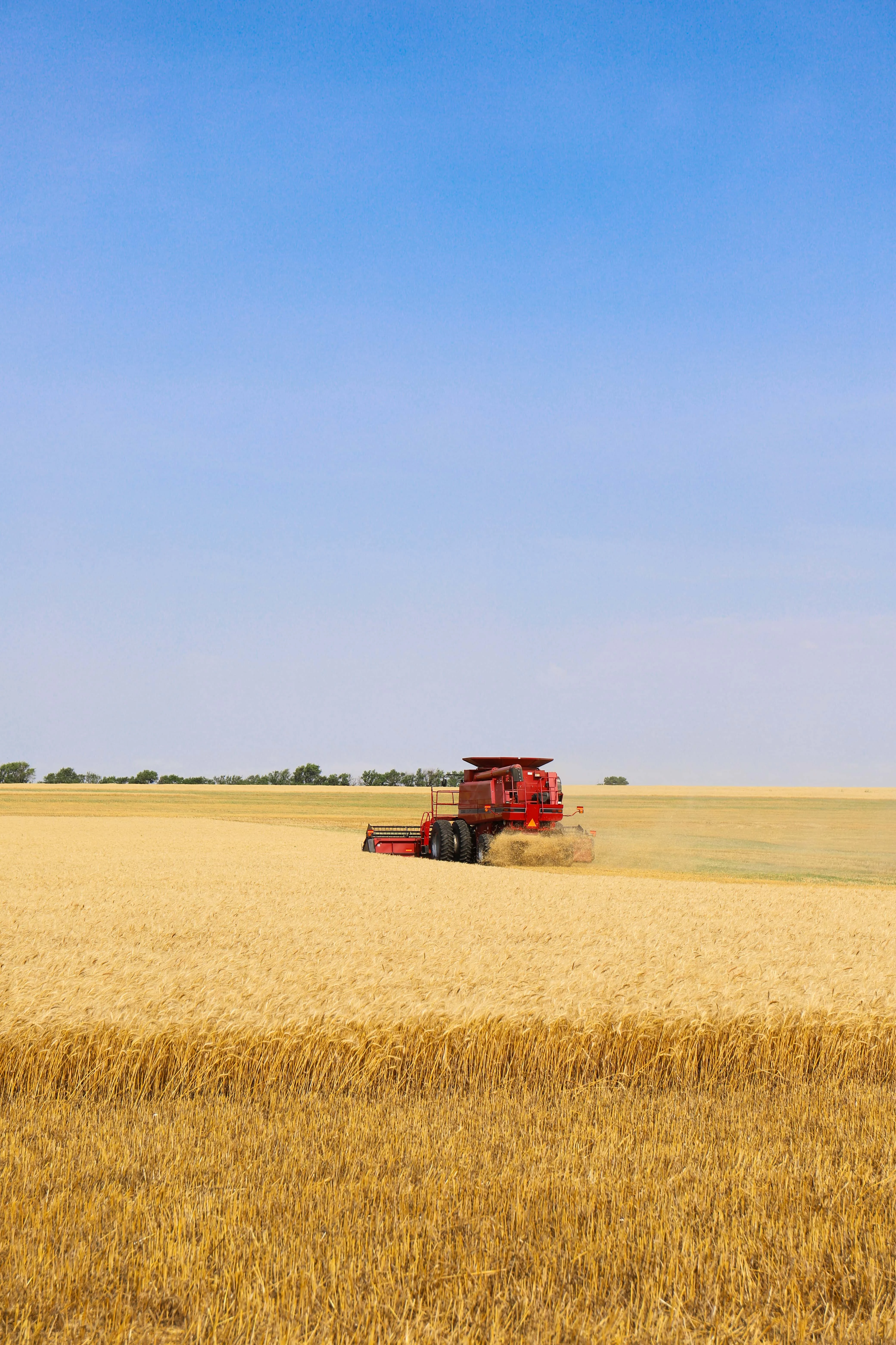 Combine in Wheat Field