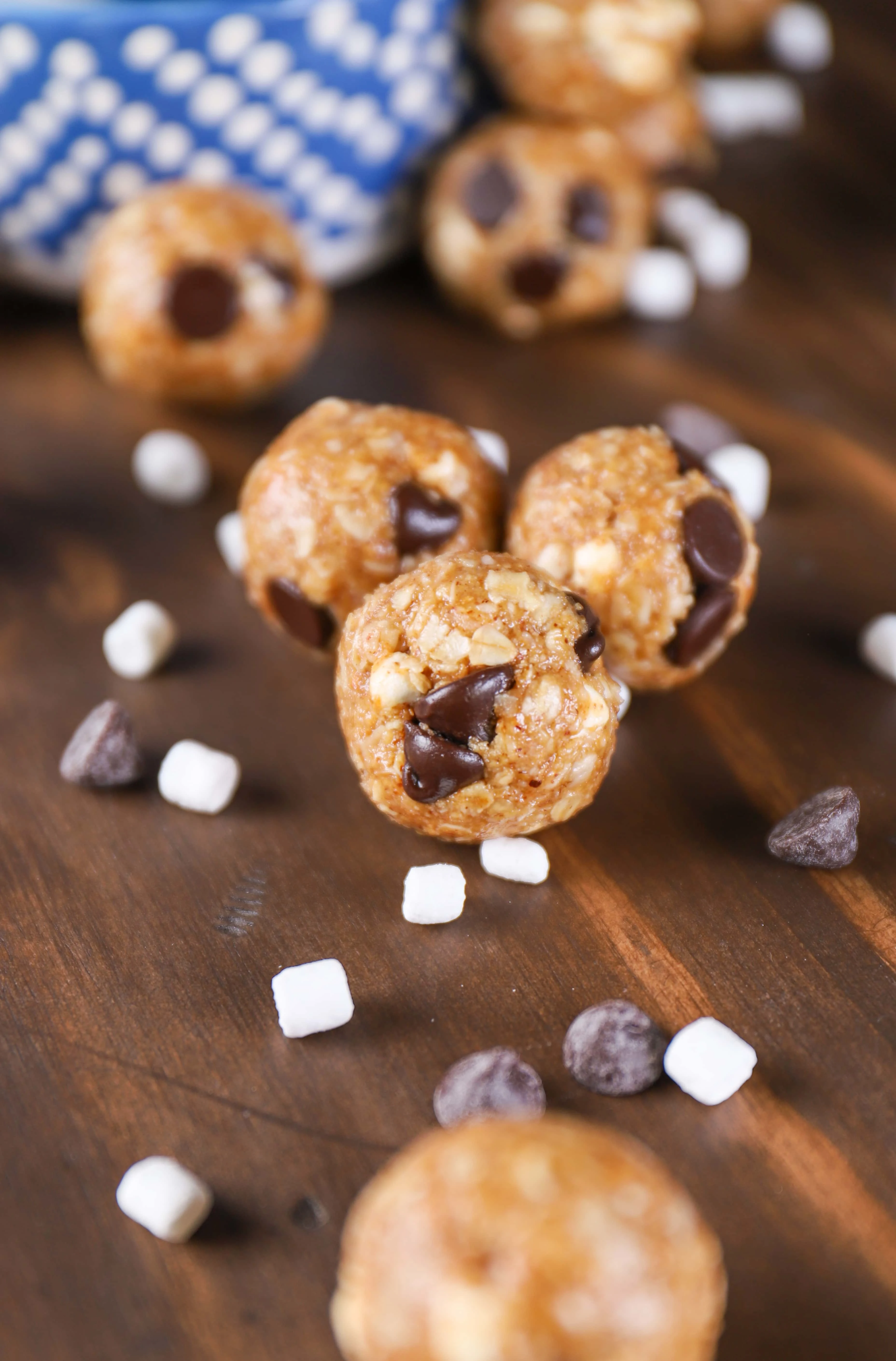 Easy Dark Chocolate Smores Granola Bites using almond butter and honey!