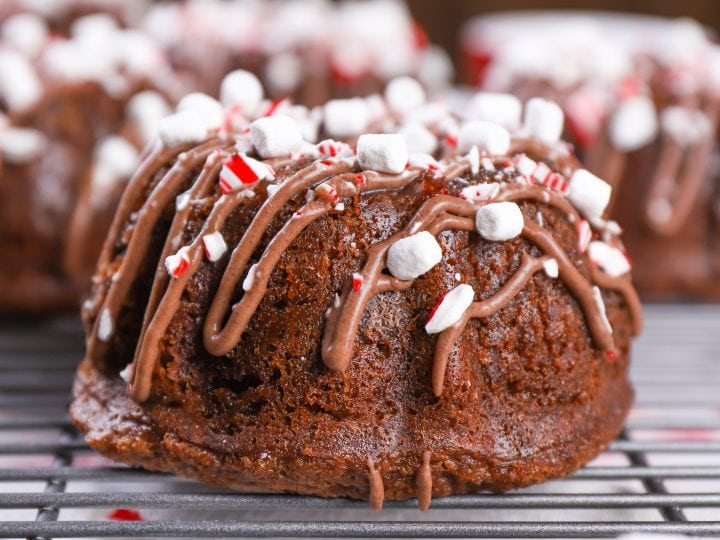 https://www.a-kitchen-addiction.com/wp-content/uploads/2018/12/peppermint-hot-chocolate-bundt-cakes-vert-720x540.jpg