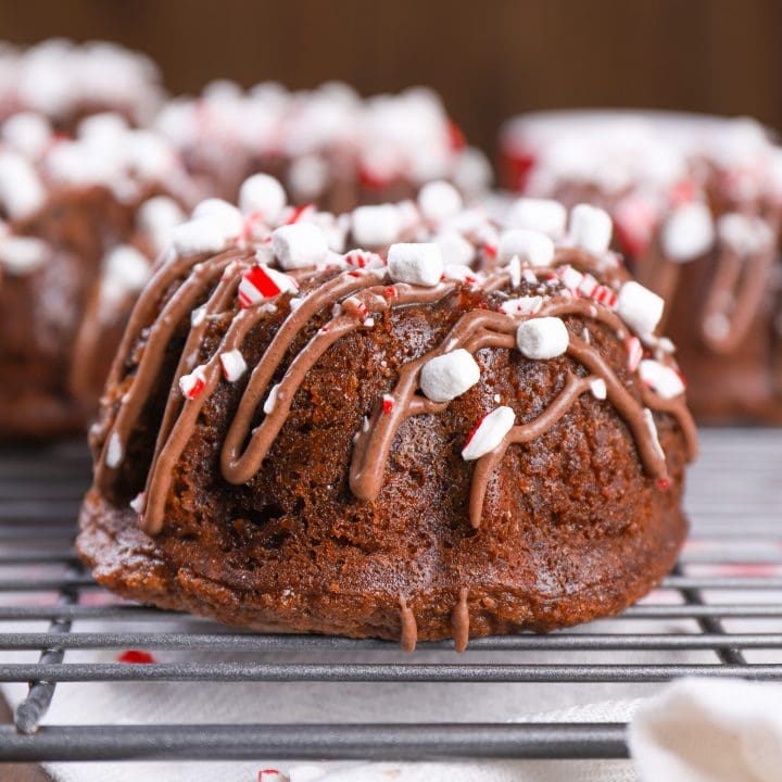 Up Close Mini Peppermint Hot Chocolate Bundt Cakes Recipe from A Kitchen Addiction