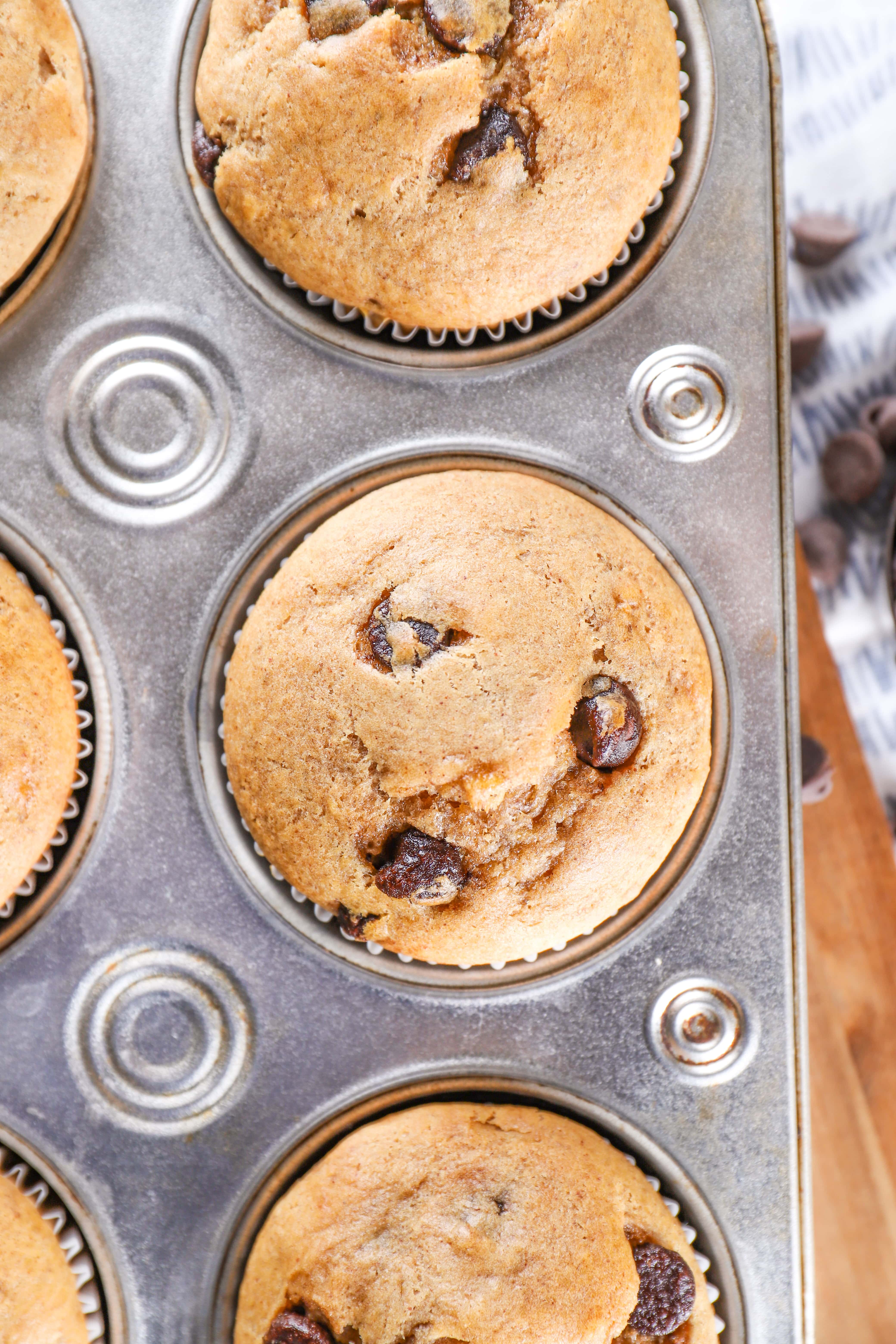 Batch of Chocolate Chip Almond Butter Protein Muffins in Muffin Tin