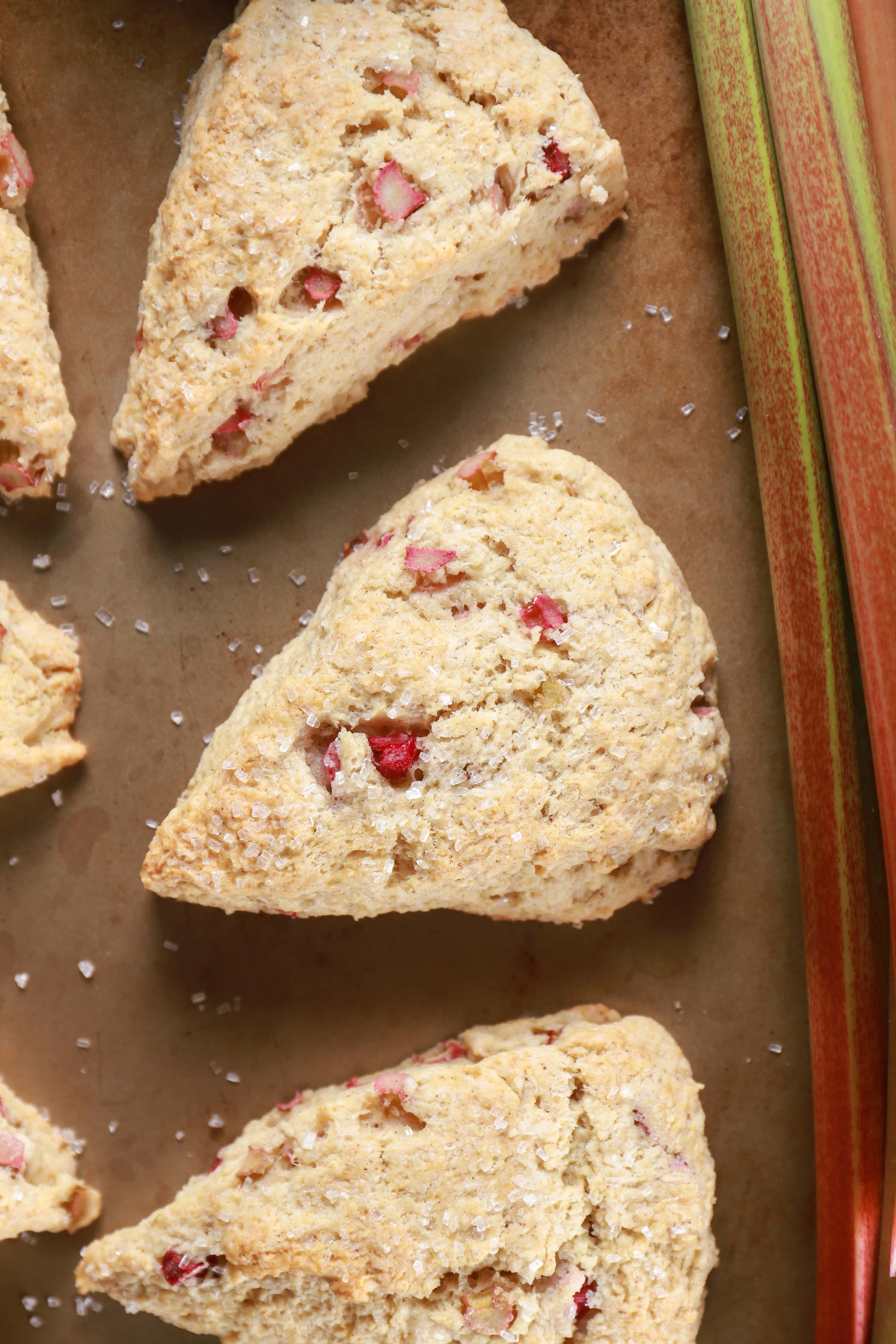 Up close overhead view of a rhubarb scone with stalks of rhubarb to the side.