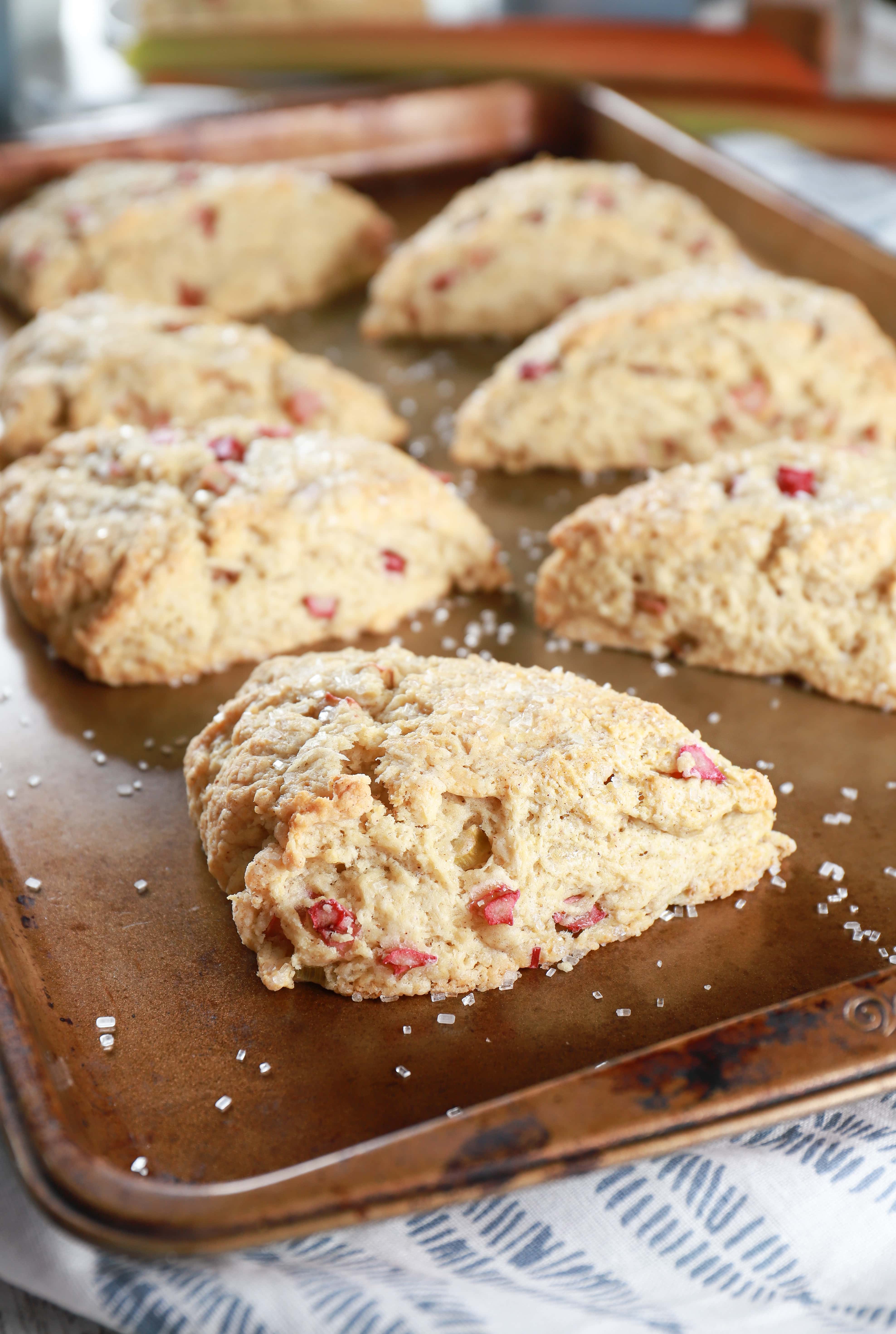 Rhubarb scones on a baking sheet with stalks of rhubarb in the background. Recipe from A Kitchen Addiction