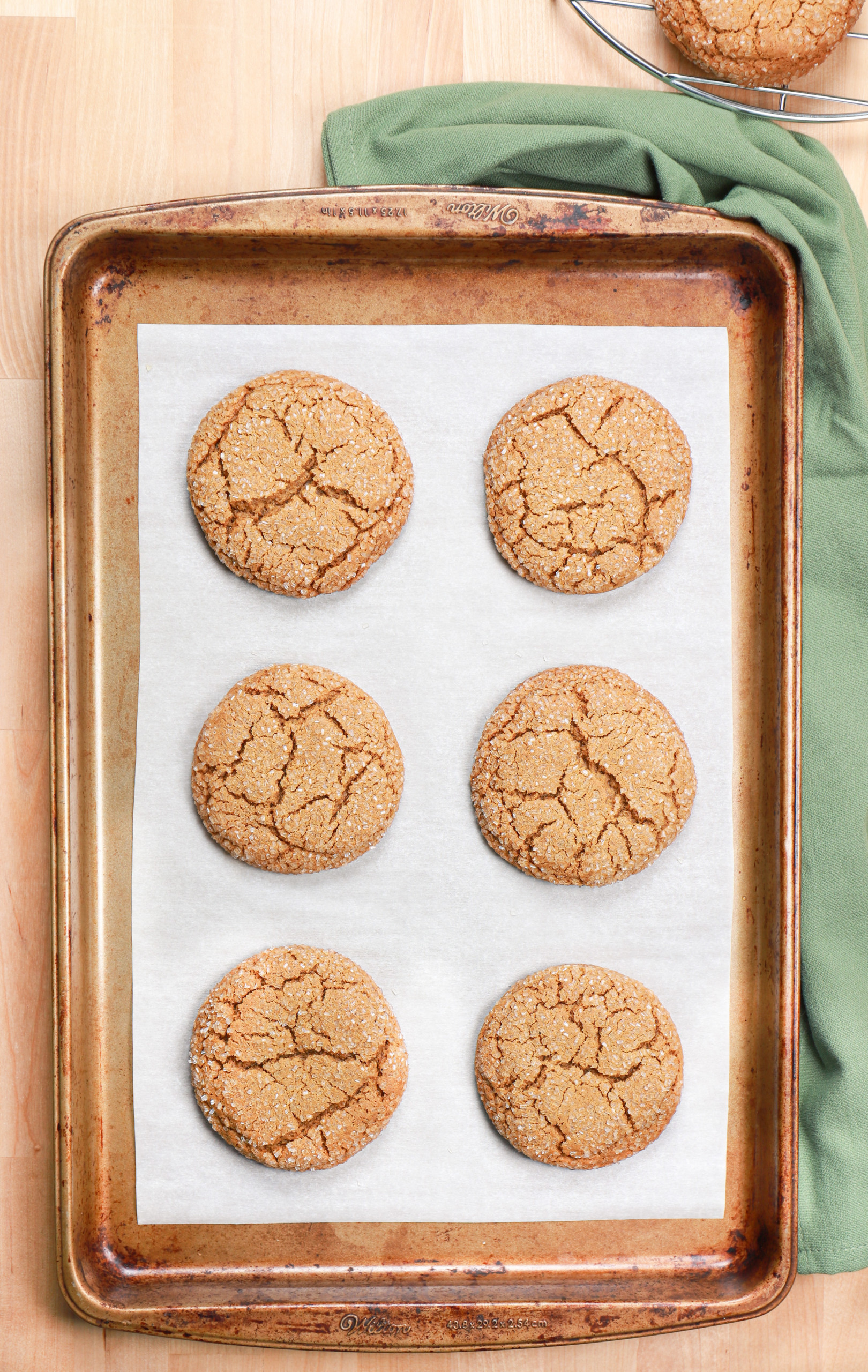 Overhead view of a batch of bakery style molasses cookies right out of the oven on a parchment paper lined baking sheet.