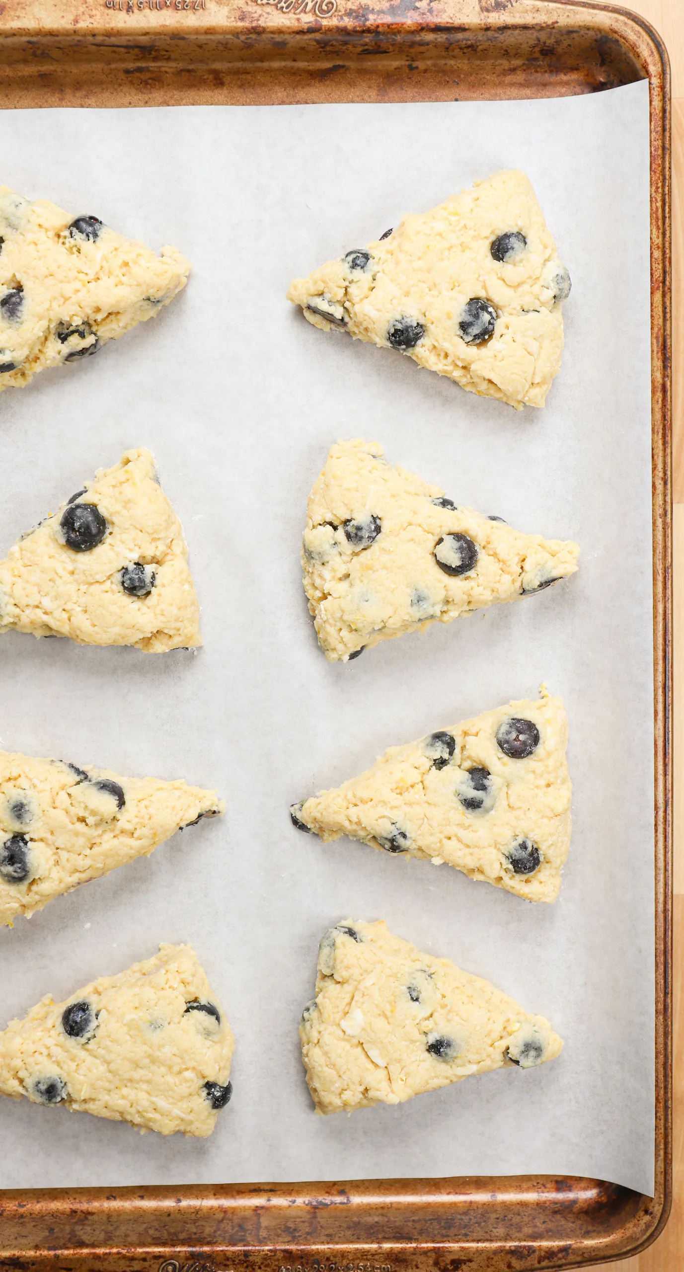 Overhead view of a batch of lemon blueberry scones on a parchment paper lined baking sheet before baking.